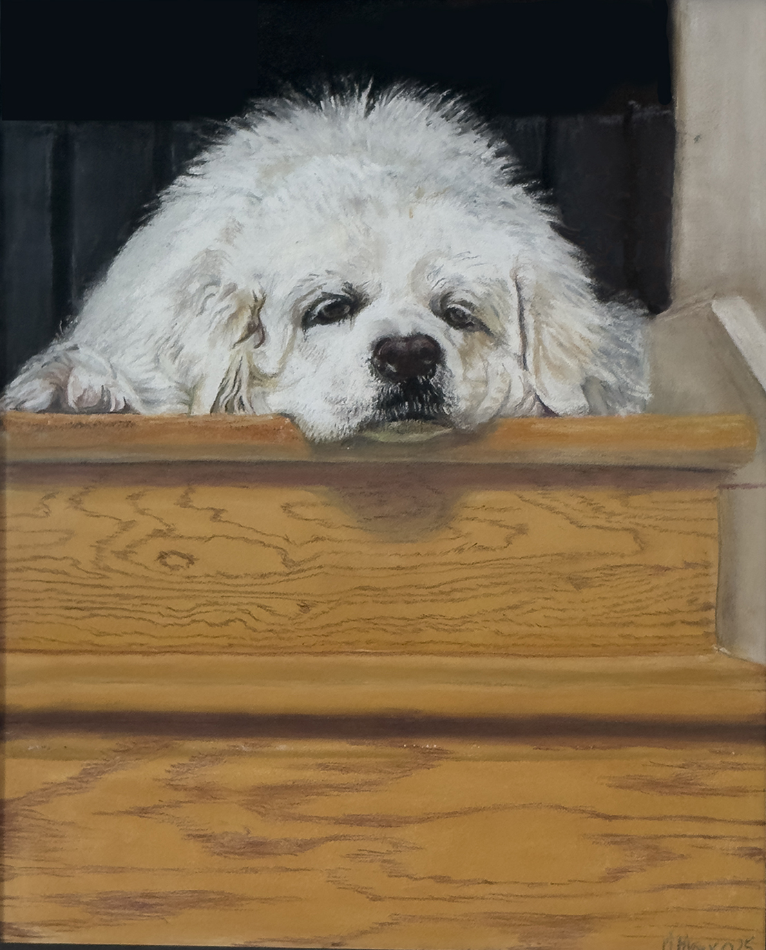 Pastel portrait of a fluffy white dog resting its head on a wooden chest