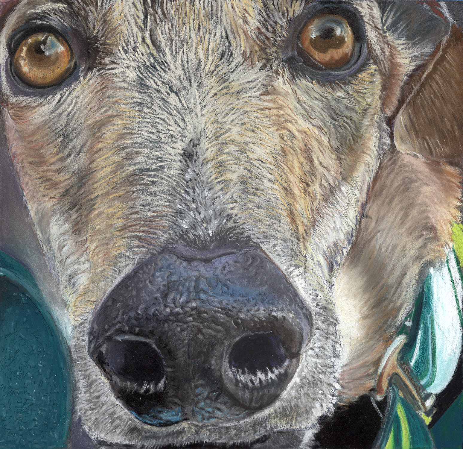 Close-up pastel portrait of a dog's face with warm amber eyes and a soft nose