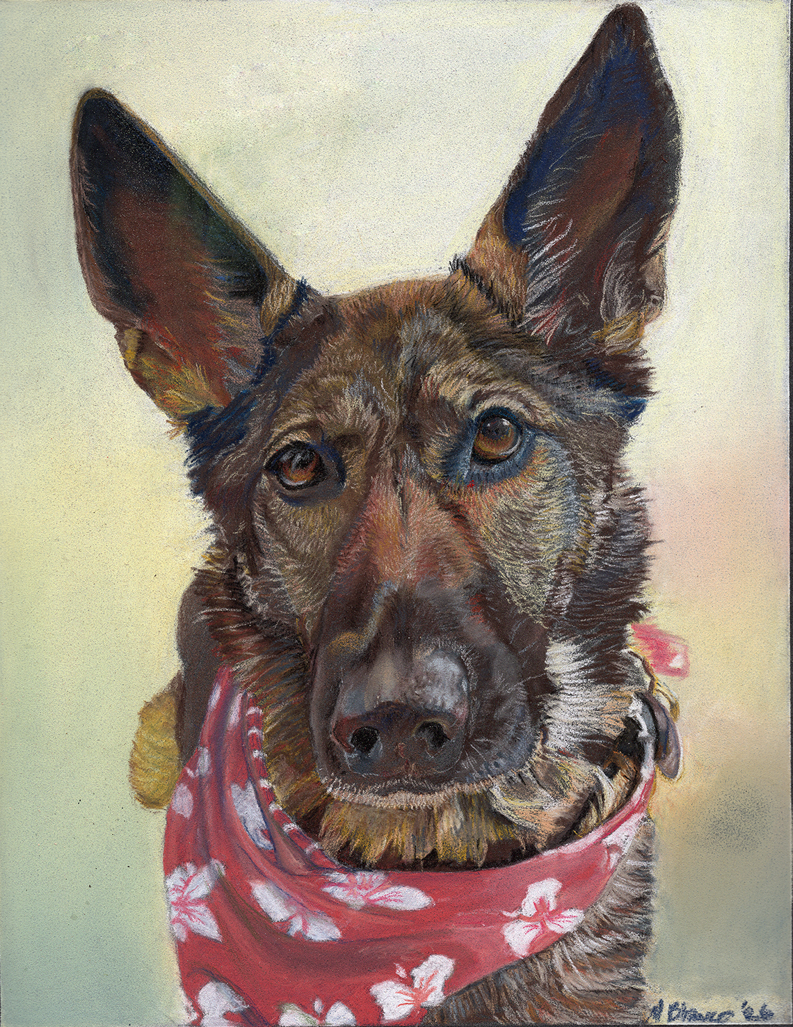 Pastel portrait of a German Shepherd wearing a red floral bandana