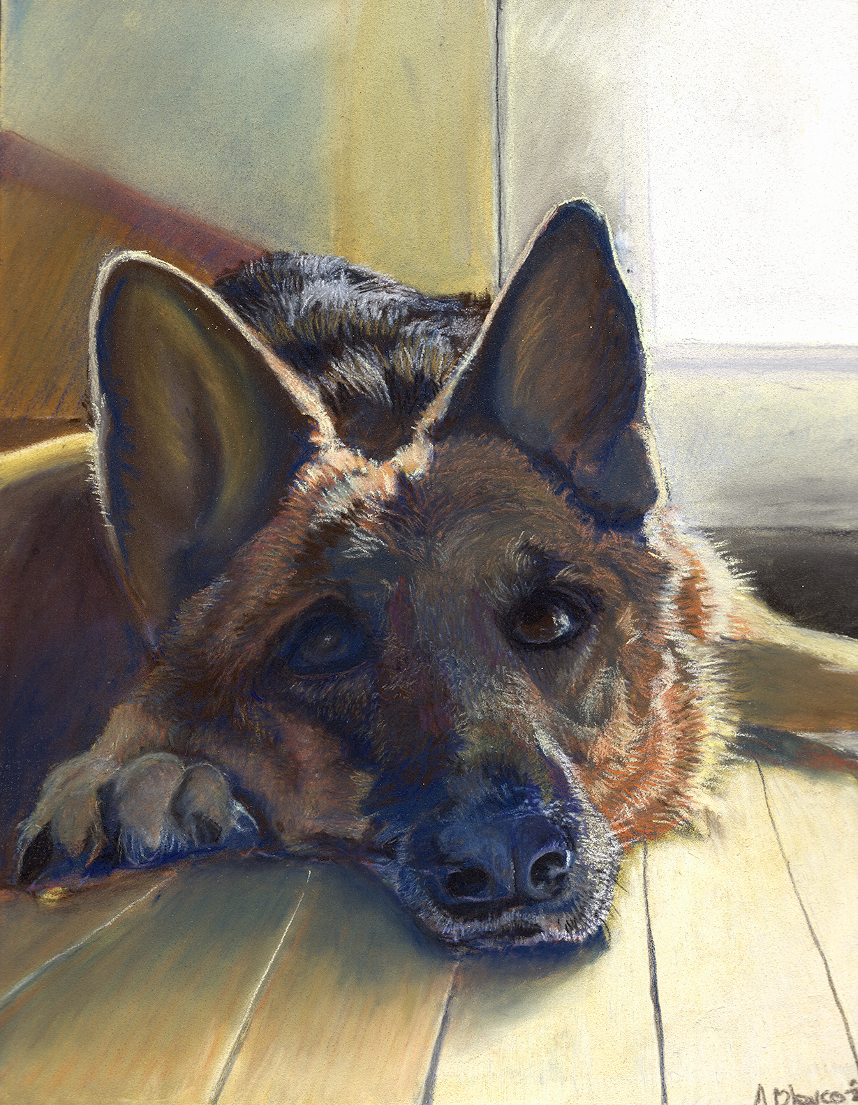 Pastel portrait of a German Shepherd resting its head on a sunlit wooden floor