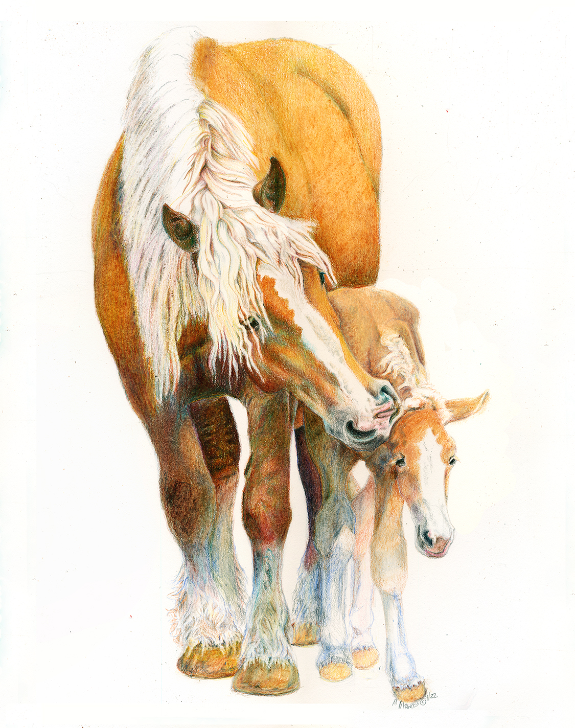 Powerful Beginnings - colored pencil drawing of a draft mare nuzzling her foal