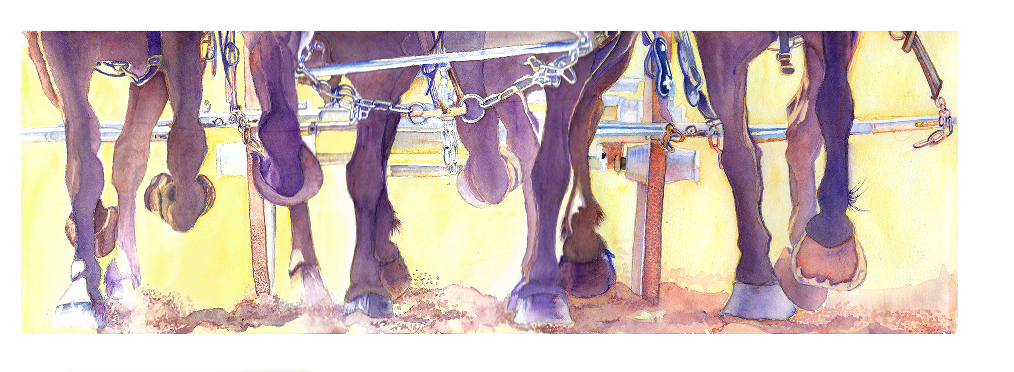 Watercolor of draft horse legs and hooves tied along a rail against a warm yellow ground