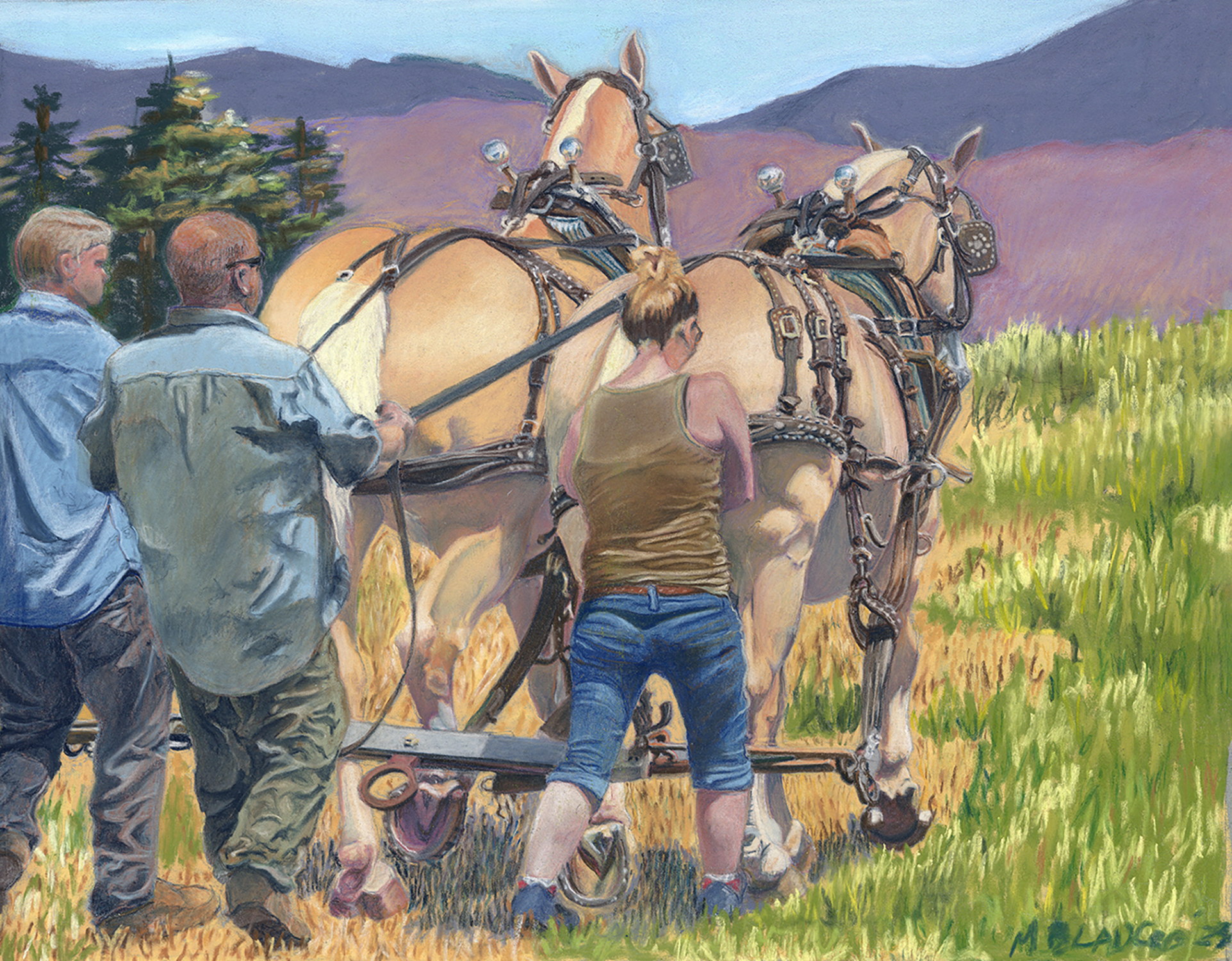 The Winning Team - pastel painting of handlers harnessing draft horses in a field