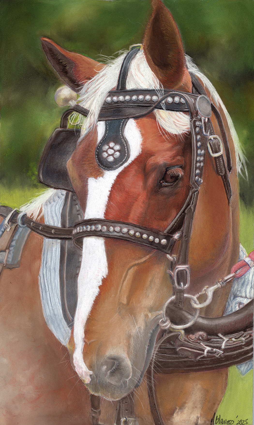 Pastel portrait of a chestnut draft pony in silver-studded show harness with a white blaze