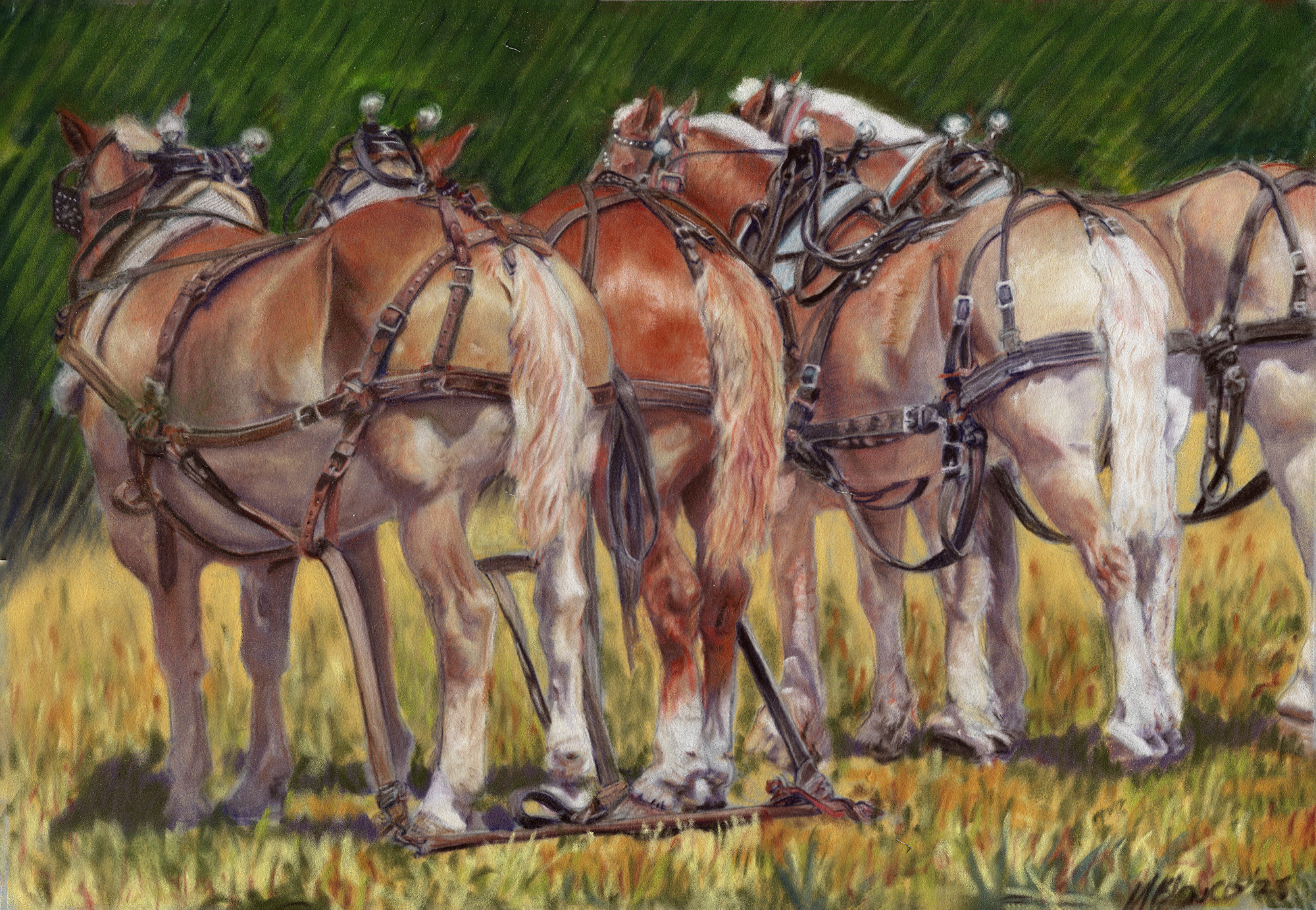 Pastel of a row of harnessed draft horses seen from behind in a sunlit field