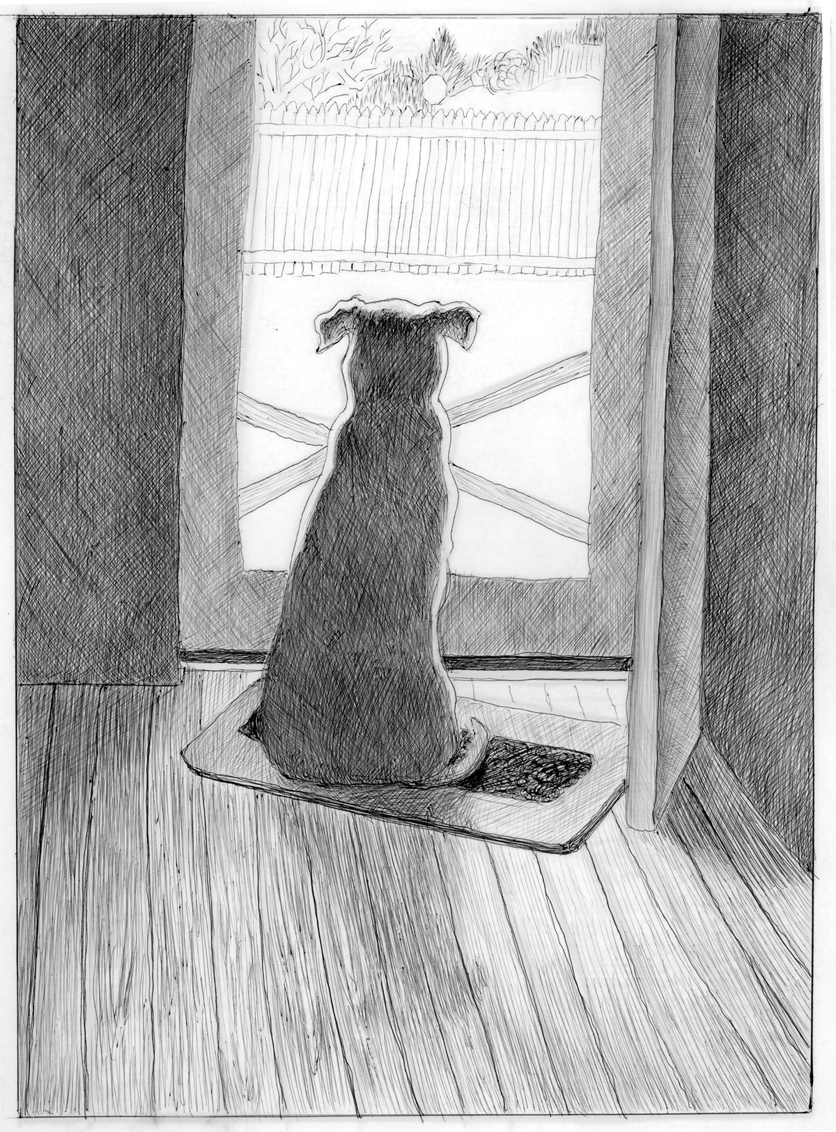 Pen and ink drawing of a dog sitting on a mat looking out a screen door