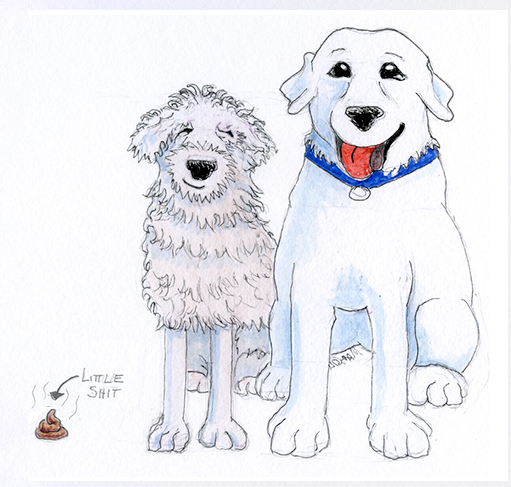 Watercolor of a shaggy small dog on a coffee mug, front view