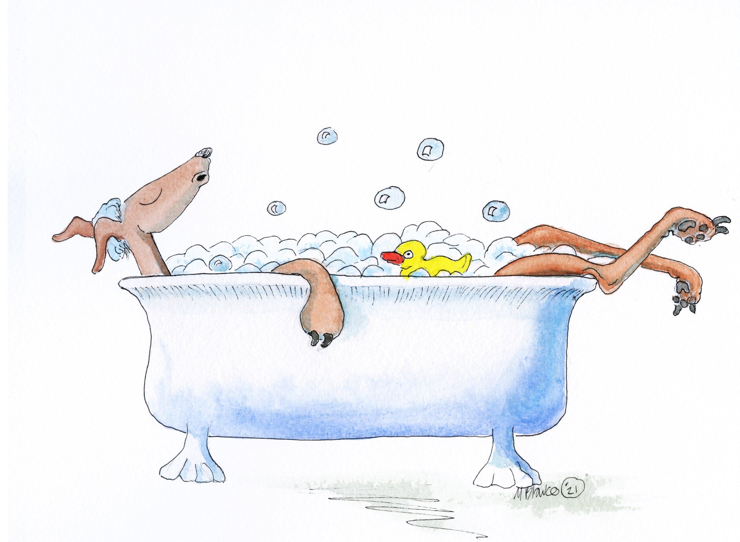 Watercolor of a lanky dog lounging in a bubble bath with a yellow rubber duck